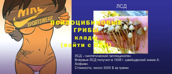 a pvp Бугульма