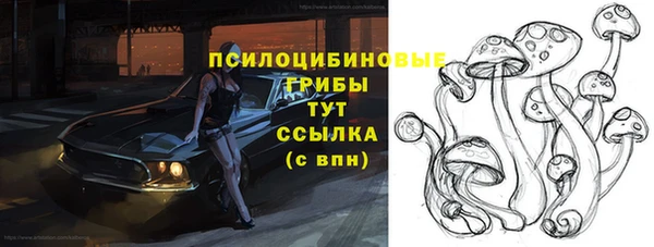 мескалин Карпинск