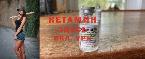 индика Бронницы