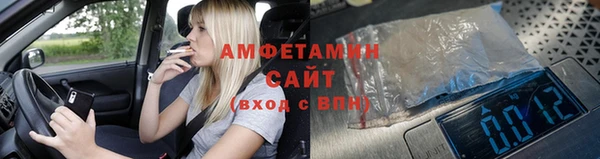 индика Бронницы