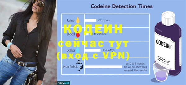 индика Бронницы