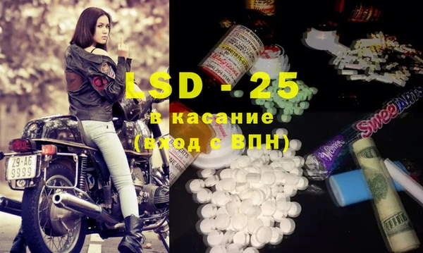 индика Бронницы