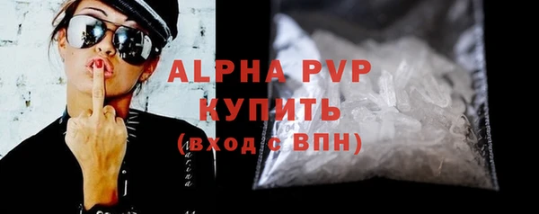 индика Бронницы