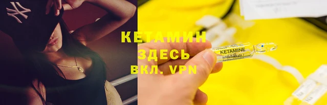 трава Белокуриха