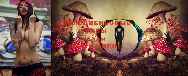гашик Верхний Тагил
