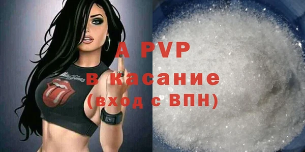 твердый Бикин