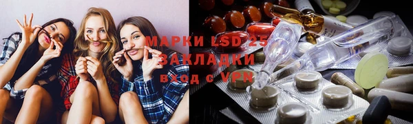 индика Бронницы