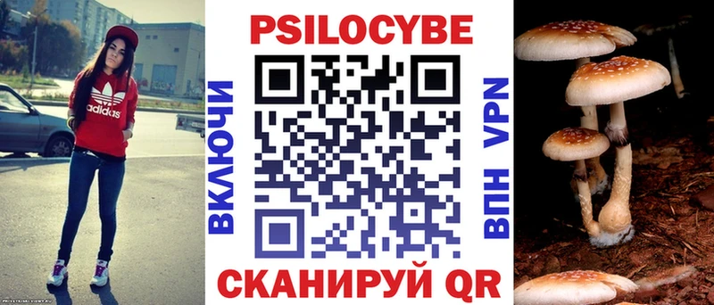Галлюциногенные грибы Magic Shrooms  Десногорск 